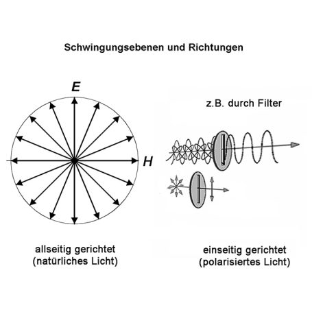 Polarisations-Schema