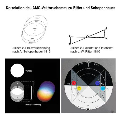 Korrelationen mit AMC-Vektorschema
